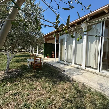 Holiday home Narta Comfort