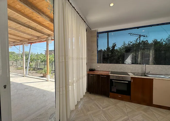 Narta Comfort * Avlonya